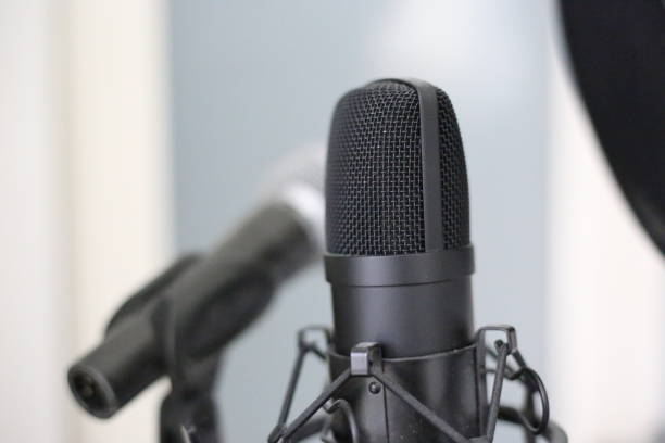 istock Closeup shot of a condenser microphone with mesh details 1438956203