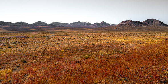 Autumn arid meadow landscape in the wilderness high desert mountains in Albuquerque, New Mexico, USA