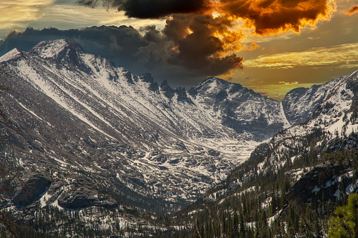 Pine Trees Fill the Valley Below Kennedy Pass in Kings Canyon National Park