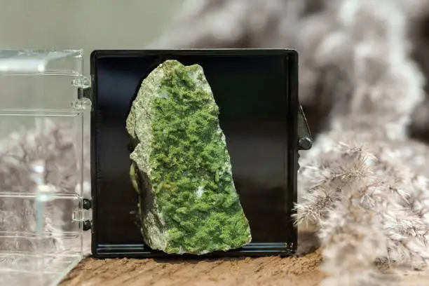 Green Chlorite with Quartz Crystalline Formation in a Sample Display Box over Natural Background