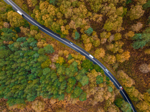 Aerial View of road through autumn forest in Cannock Chase stock photo