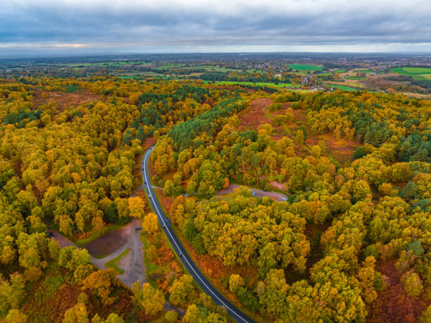 Aerial View of road through autumn forest in Cannock Chase stock photo