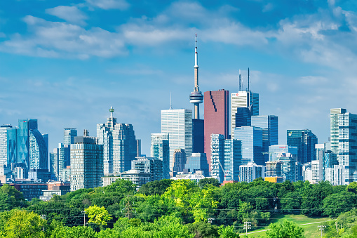 Skyline of Toronto, Ontario, Canada with green park trees in the foreground.
