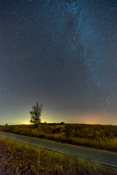 istock Vertical shot of an empty road between greenery under a starry blue sky 1438963567
