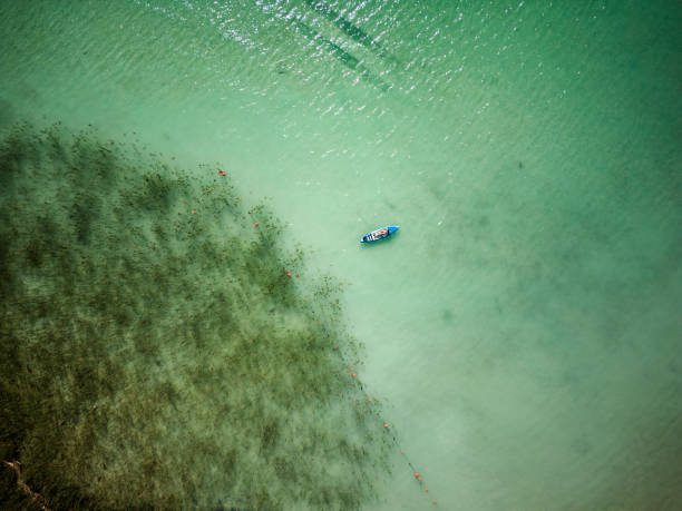 Drone view of teenage girl enjoying the SUP paddleboard on lake in Austrian alps. Drone view of teenage girl enjoying SUP paddleboard on Achensee lake in mountains of Tyrol, Austria.
Shot with DJI Mini Pro 3. paddleboard surfing water sport low angle view stock pictures, royalty-free photos & images