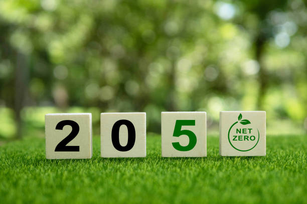 net-zero greenhouse gas emissions in 2050 target. climate-neutral long-term strategy. wooden cubes with green icons green background. close-up photo. space for text - medidor co2 render imagens e fotografias de stock