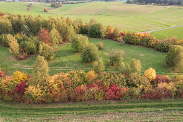 istock Autumn in the Taunus/Germany 1438969570