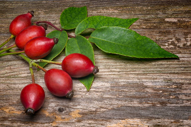 istock Rosehip berries  (Rosa canina) on wooden table. Background title 1438971037