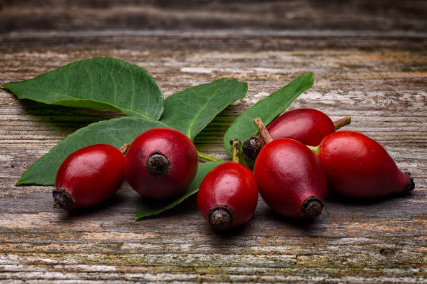 istock Rosehip berries  (Rosa canina) on wooden table 1438971052