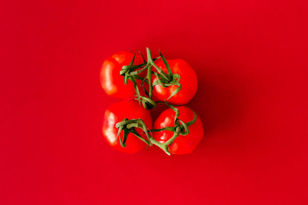 istock Fresh tomatoes on the vine on red background 1438971131