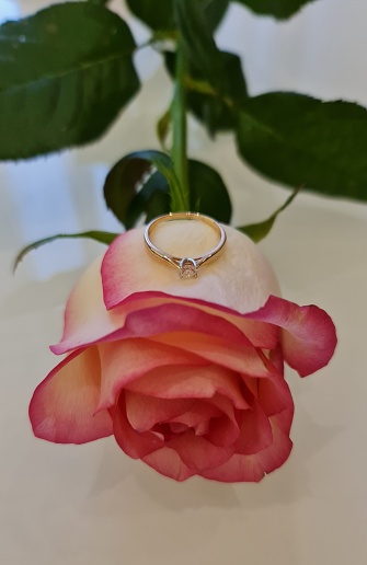 Wedding ring on the rose