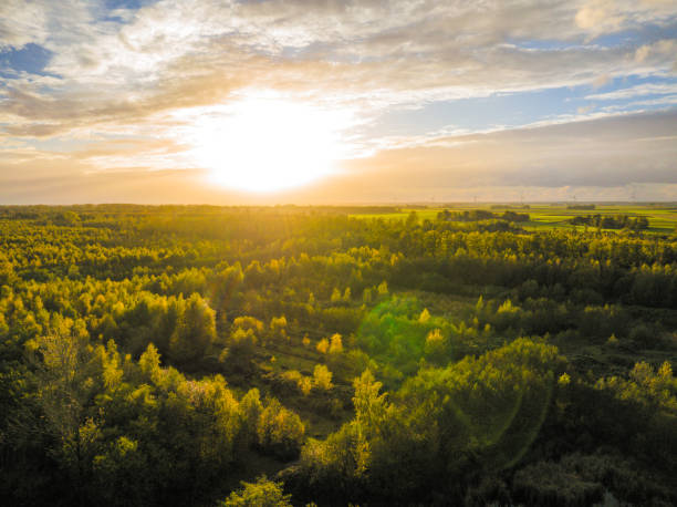 istock Autumn forest with colorful leaves seen from above 1438973977