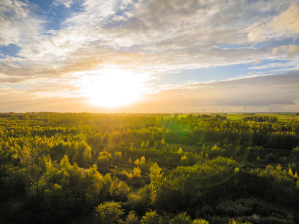 istock Autumn forest with colorful leaves seen from above 1438975600