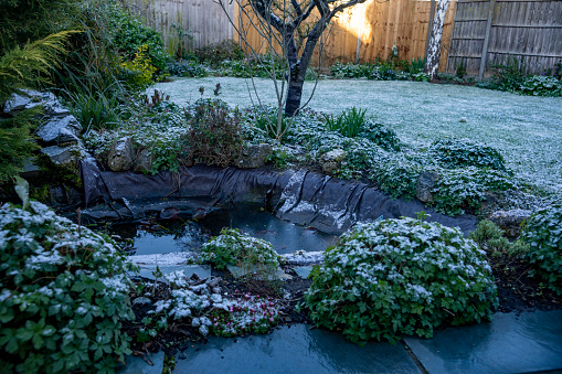 A light dusting of snow beginning to fall on a sunny day in a suburban back garden in England.