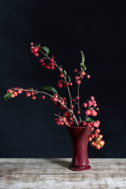Branches of ornamental apple interra cota vase stock photo