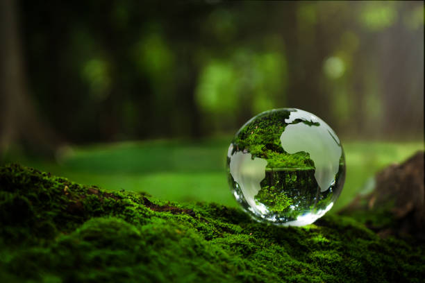 istock Crystal Earth On Soil In Forest With Ferns And Sunlight - Environment, save clean planet, ecology concept. Earth Day banner with copy space. 1438977574