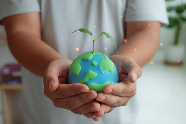 istock Hands holding green earth globe and growing tree. Arbor Day. Environment, save clean planet, ecology concept. Earth Day banner with copy space 1438977579
