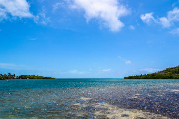 istock Wide shot of a beautiful ocean with a clear blue sky in the background 1438977607