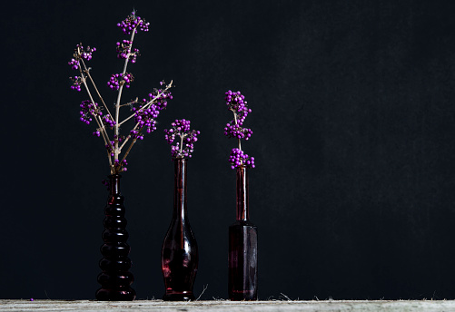 BBranches of purple Callicarpa in vintage vases.ranches of purple Callicarpa in vintage vases. High quality photo