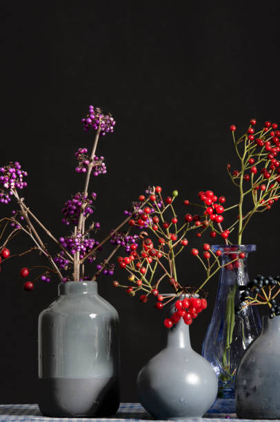 A collection of vases with a variety of berries. stock photo