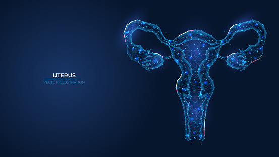 Futuristic abstract uterus symbol. Wireframe concept of women's health, gynecology and reproductive system. Low poly 3d wallpaper background vector illustration.