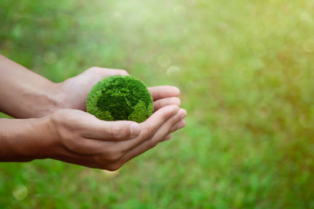 istock Net Zero and Carbon Neutral Concepts Net Zero Emissions Goals Weather neutral long-term strategy. 1438980177