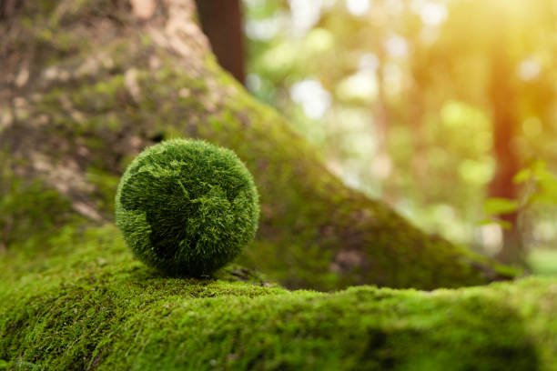 istock Net Zero and Carbon Neutral Concepts Net Zero Emissions Goals Weather neutral long-term strategy. 1438980180
