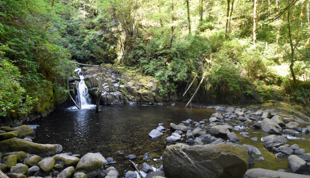 istock Sweet Creek Falls Waterfall along Hiking Trail Complex near Mapleton Oregon. America. 1438981535