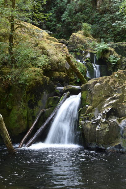 istock Sweet Creek Falls Waterfall along Hiking Trail Complex near Mapleton Oregon. America. 1438984165