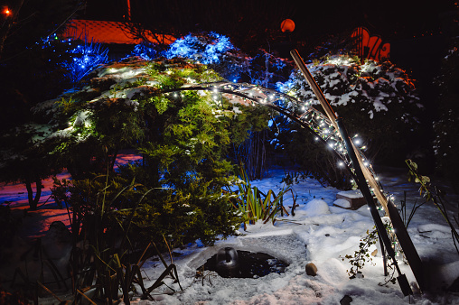 Frozen garden pond with snow covered plants in winter. The winter garden is decorated with LED lights.