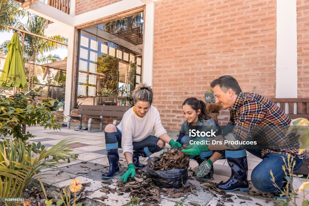 The Cheerful Family Raking Autumn Leaves Stock Photo - Download Image ...