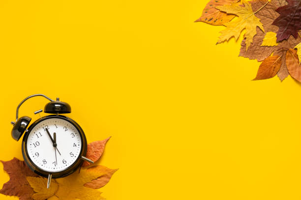 istock Daylight saving day. Fall Back. Black Alarm clock and autumn leaves on yellow background. Daylight saving time end 1438987641