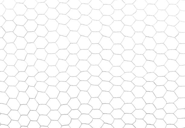 Small gauge chicken wire mesh on white