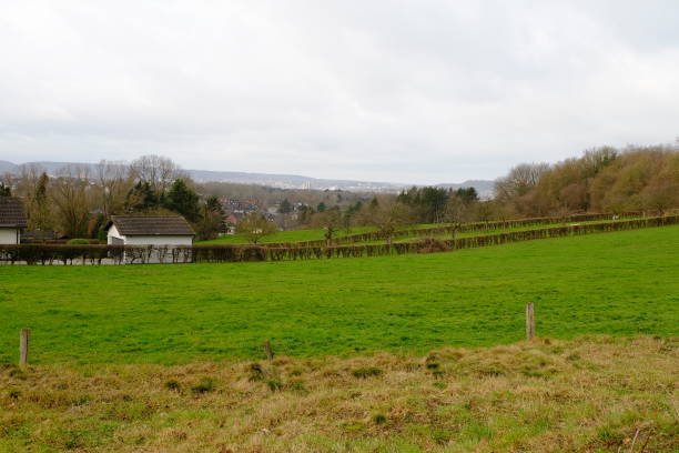 istock Green valley with trees and a clear sky on the background 1438988059
