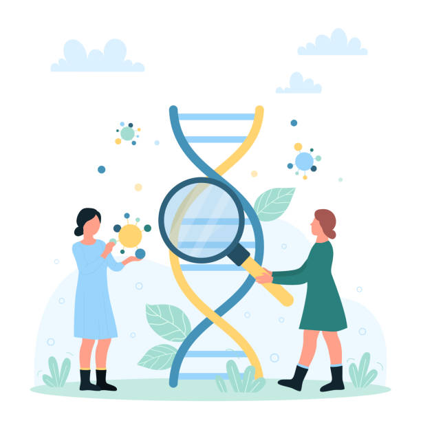 illustrations, cliparts, dessins animés et icônes de recherche en laboratoire médical génétique, de minuscules personnes regardant à travers une loupe l’adn - medical research backgrounds laboratory chemistry class