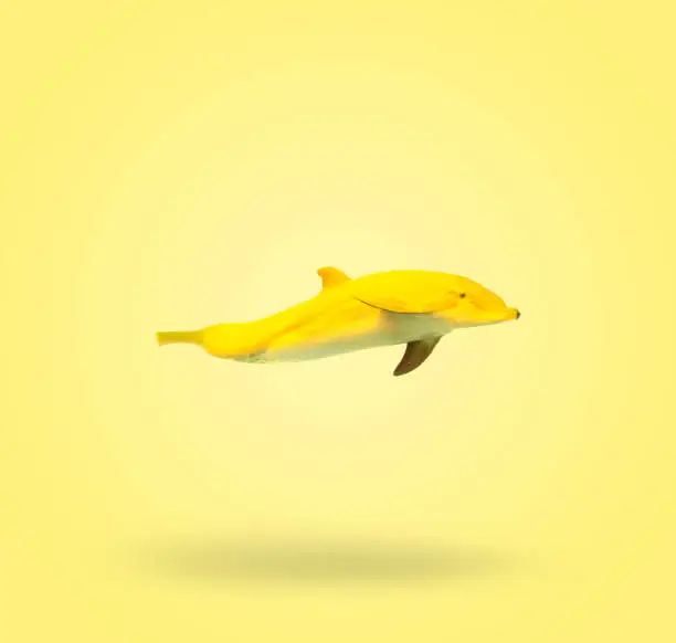 Contemporary art collage. Photomanipulation of a banana and a dolphin. Graphics on a summer yellow background. Modern food concept.