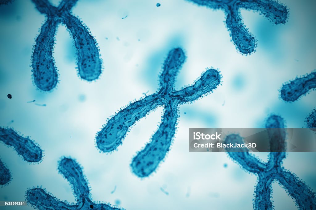 Chromosome. Microscope Slide Chromosome. Concept. 3D Render Micro Organism Stock Photo