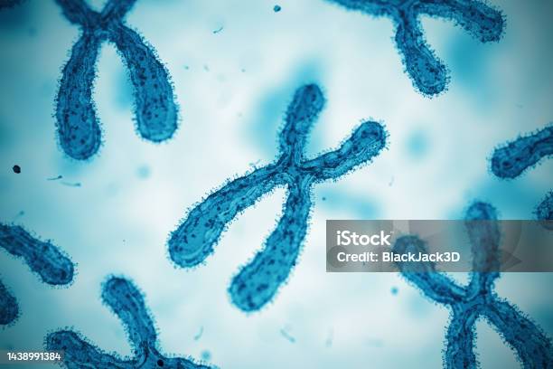Chromosome Microscope Slide Stock Photo - Download Image Now - Micro Organism, Molecular Structure, RNA