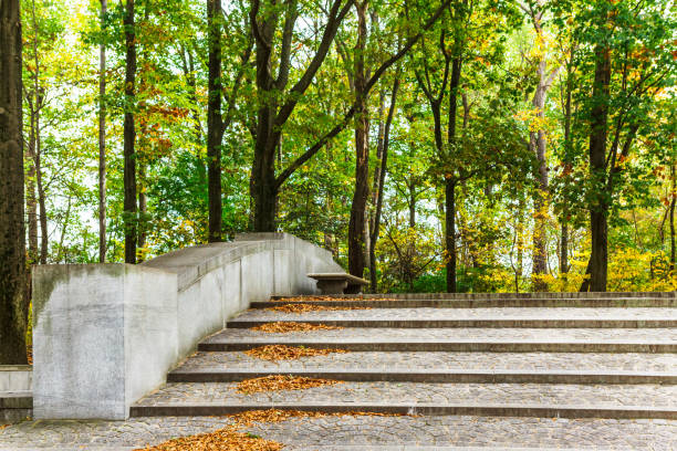 Stone steps and bridge in the forest trees in autumn leading to the hiking trails at Theodore Roosevelt Island in Washington, DC
