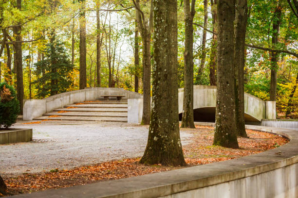 Stone Steps and Bridge at Theodore Roosevelt Island in Washington, DC Stone steps and bridge in the forest trees in autumn leading to the hiking trails at Theodore Roosevelt Island in Washington, DC theodore roosevelt us president stock pictures, royalty-free photos & images