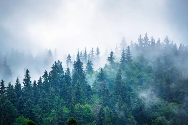 Photo of Misty mountain landscape