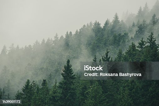 istock Misty mountain landscape 1439001172