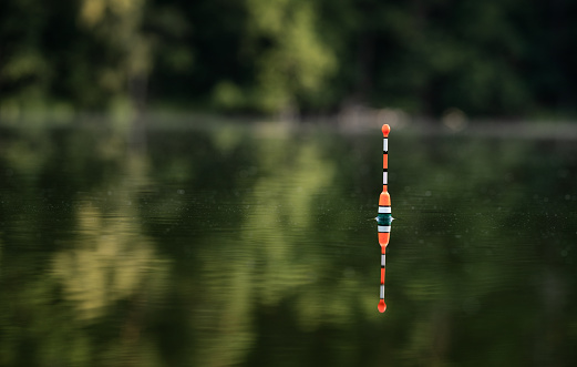 Fishing float in the lake on a summer morning with copy space