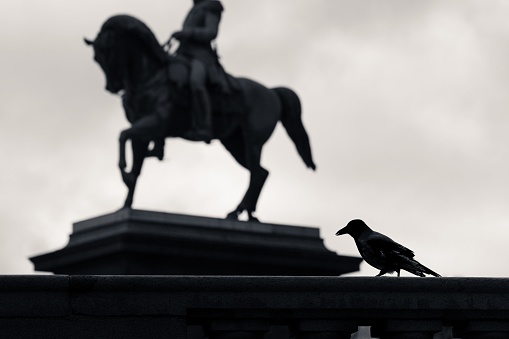 A black and white shot of a crow with the statue background