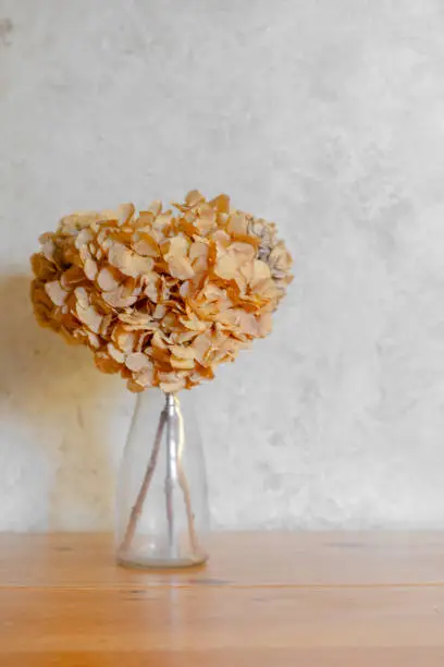 A bouquet of orange cream coloured dried flowers are in a glass vase on a wooden table and in front of a white wall.