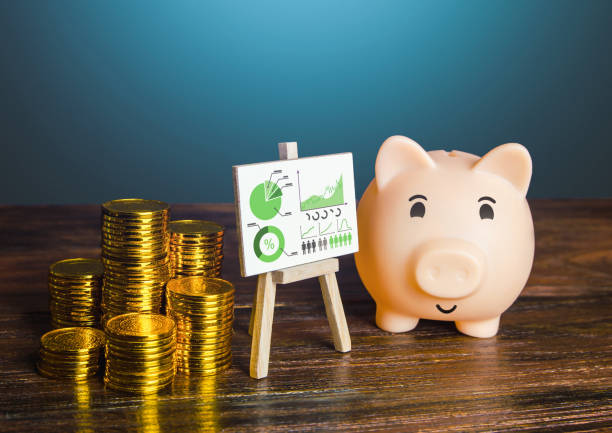 Pig piggy bank proudly presenting good money saving results. Financial literacy, asset management. Increase profits, reduce costs optimization. Business investment plan. Statistics, results reports alcancía de cerdo orgullosamente presentando buenos resultados de ahorro de dinero. educación financiera, gestión de activos. aumente las ganancias, reduzca la optimización de costos. plan de inversión empresarial. estadísticas, informes de resultado