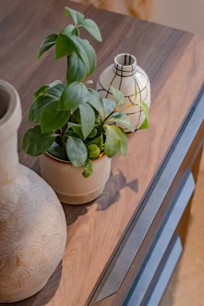 A ceramic plant pot and 2 vases are on a wooden chest of drawers. The photo is taken from an above angle and one of the vases on the left is half seen. ne vase is cream coloured with black lines on it and the other one has a texture. The plant pot has a plant with bright green leaves.