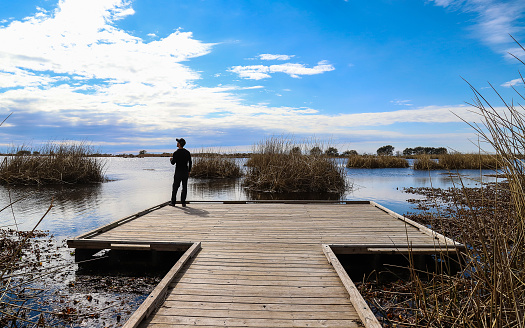 Mandeville, Louisiana, United States – February 06, 2018: Fontainebleau State Park, Louisiana - February 2018: A young male stands at the edge of the observation platform on the Alligator Marsh Boardwalk.