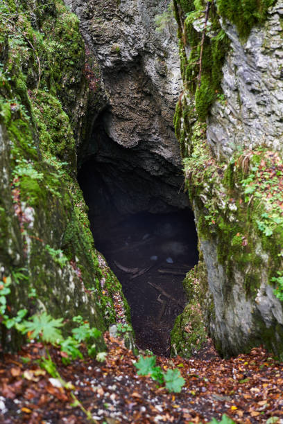 istock Cave entrance in the forest 1439007660