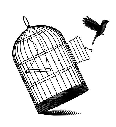 Fallen birdcage and a black bird flying away isolated on white. Vintage engraving black and white stylized drawing. Vector illustration
